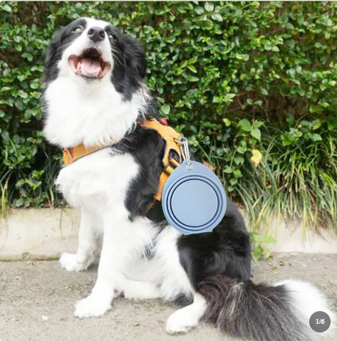 Bol pliable en silicone portable pour chien et chat — Silimura